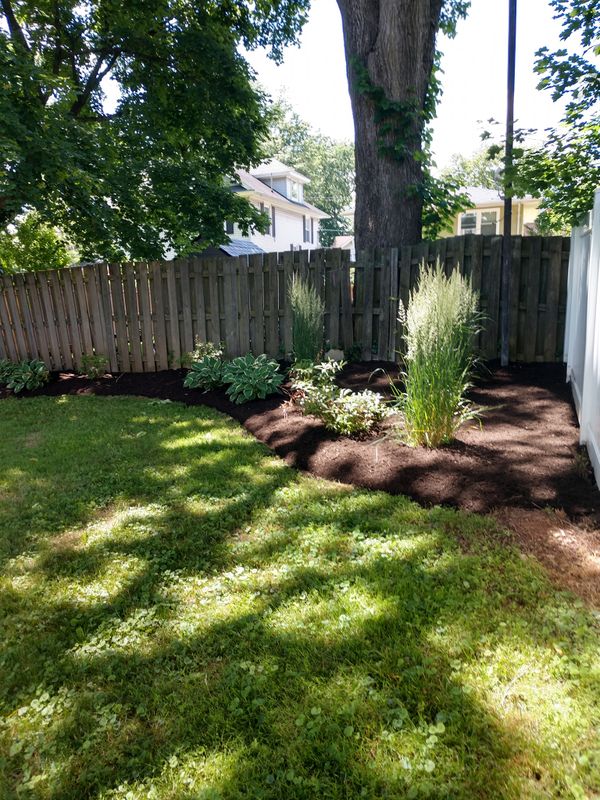 Privacy Plantings