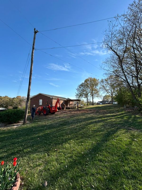 Tree Removal gallery