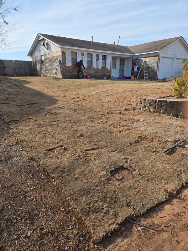 Lawn Maintenance