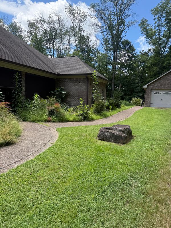 Lawn Maintenance