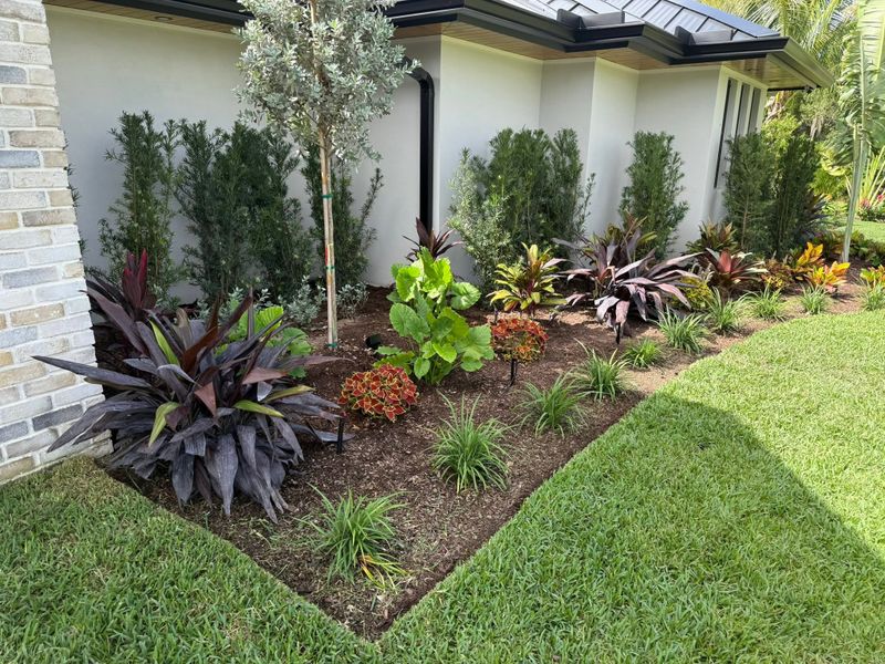 Garden Design and Installation