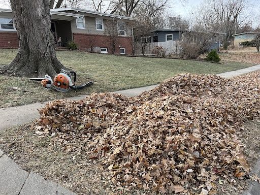Lawn Maintenance