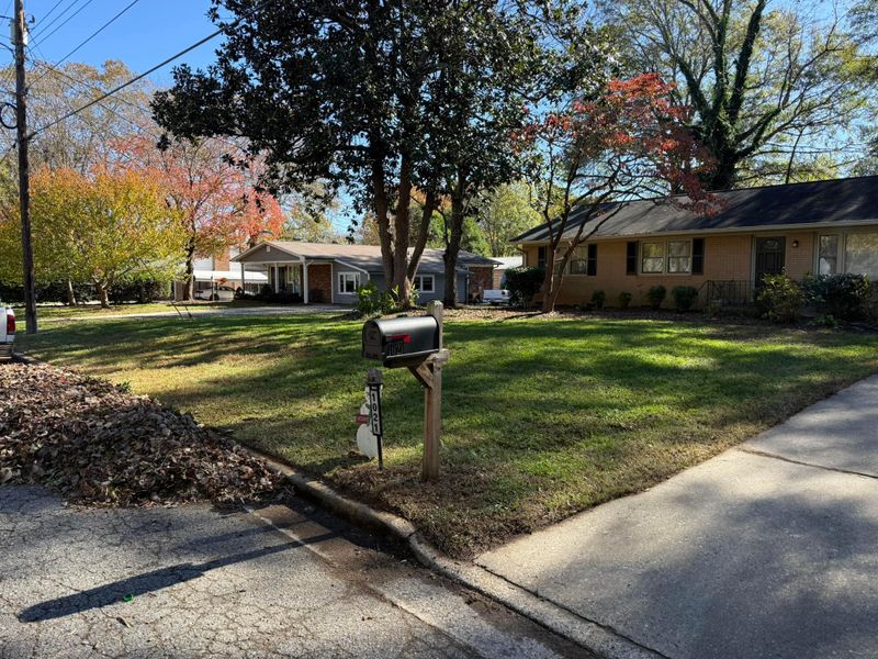Spring Cleanups
