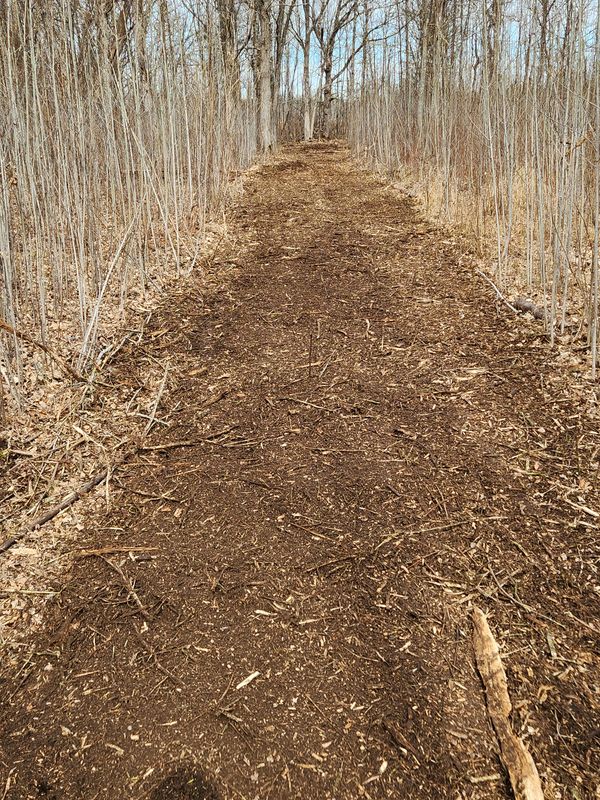 Forestry Mulching & Brush Mowing