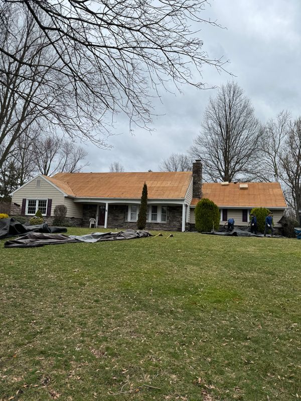 Roofing Replacement