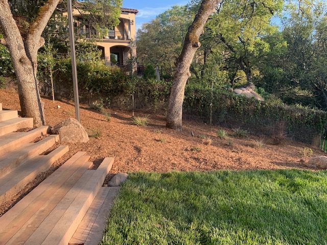 Drought Tolerant Landscapes