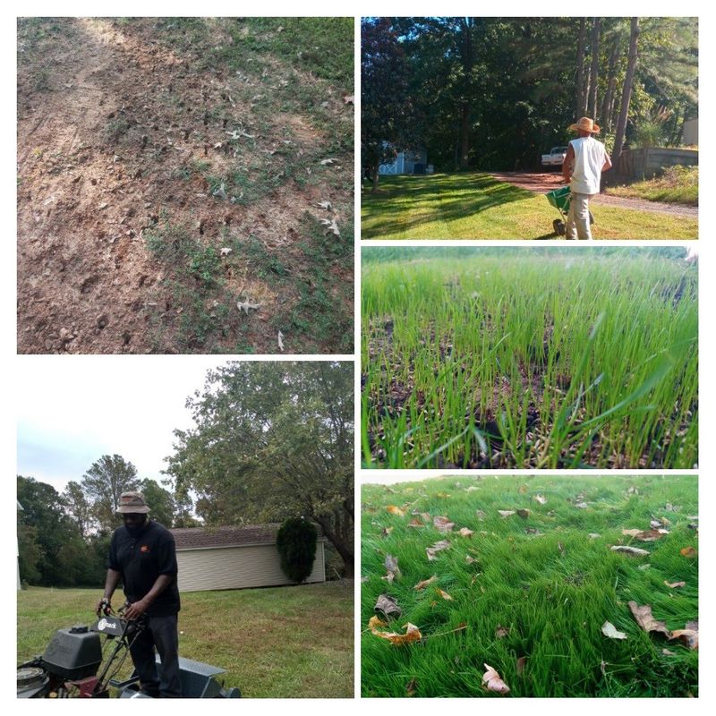 Grass Up