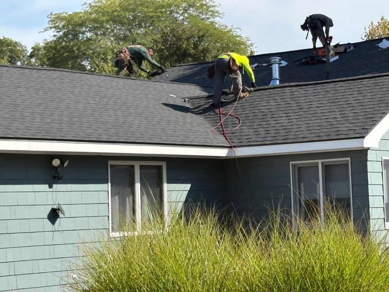 Roofing Repairs