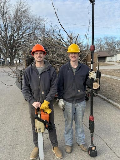 Tree Removal