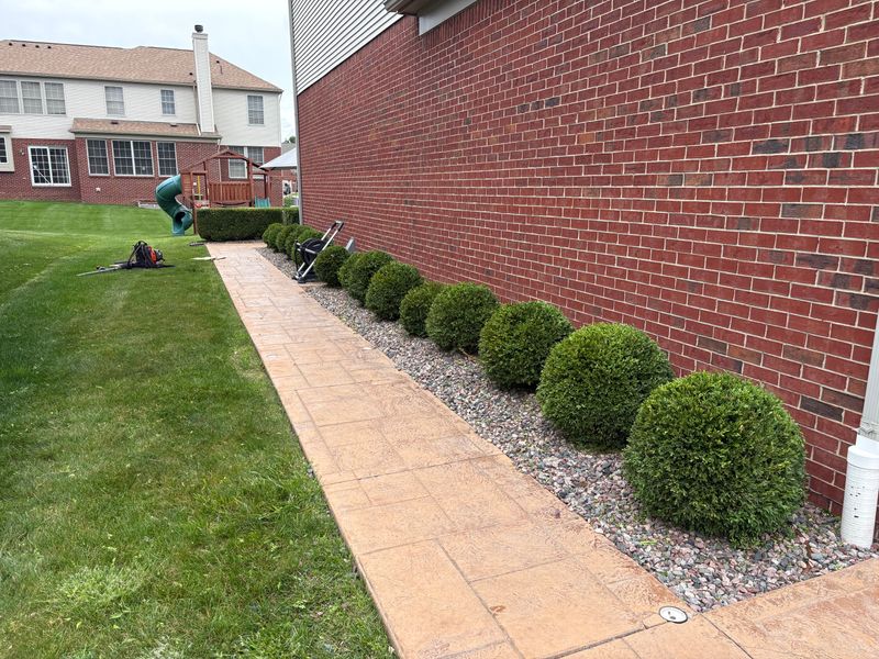 Lawn Maintenance