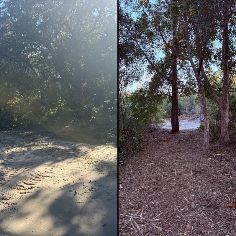 Land Clearing