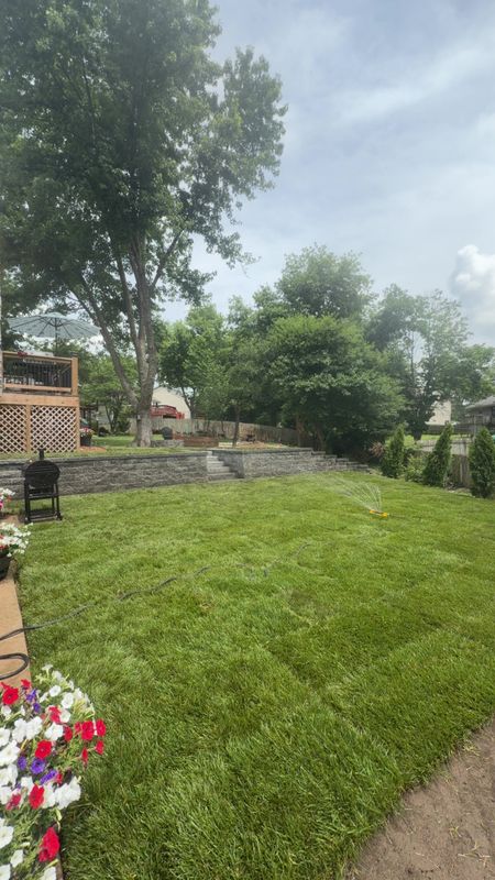 Sod Installation