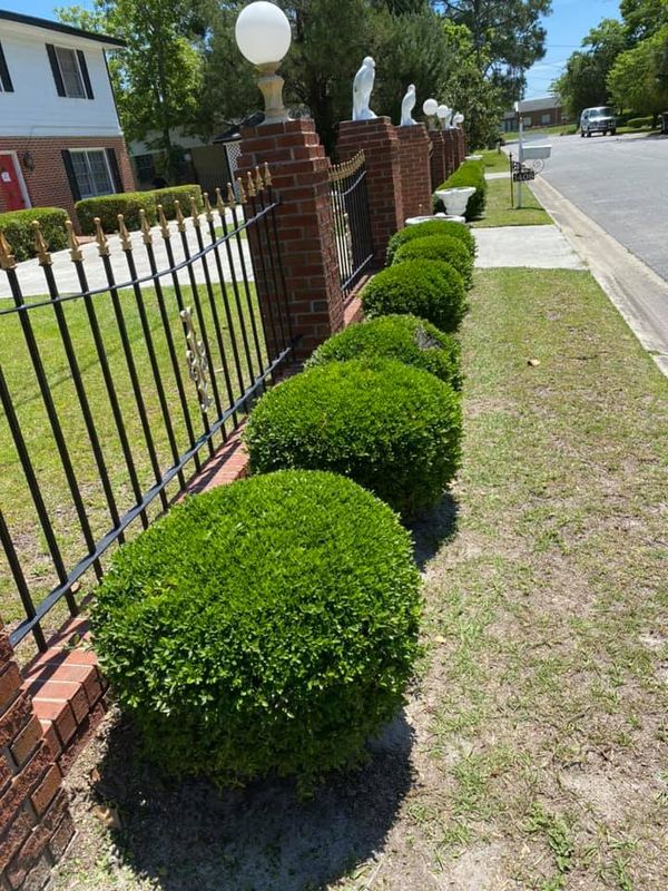 Landscaping 