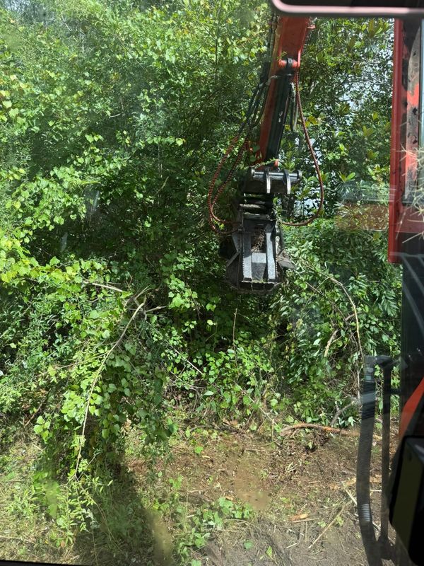 Land Clearing