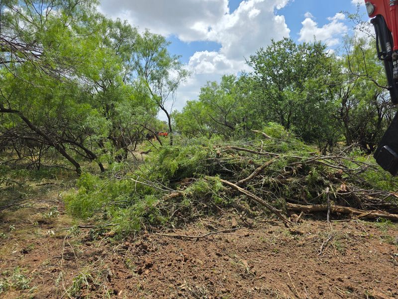 Storm Damage Cleanup