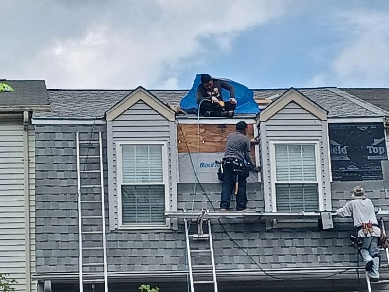 Shingle Roof Replacement