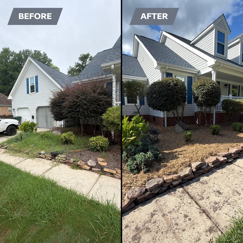 Landscape Design & Renovation