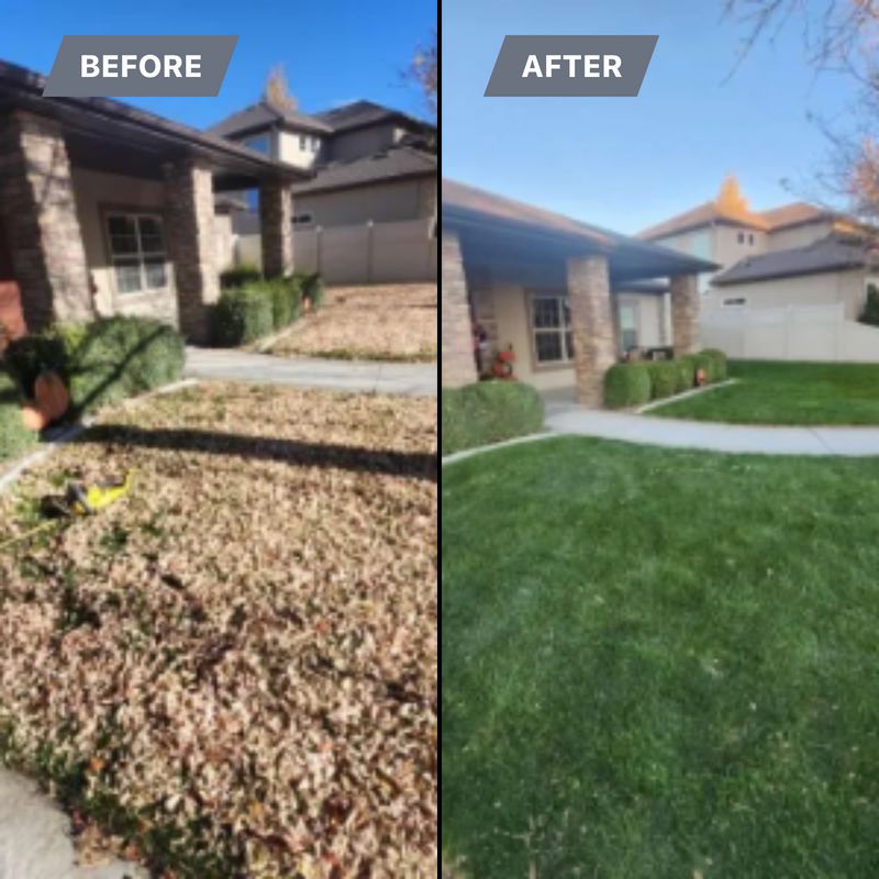 Lawn Maintenance