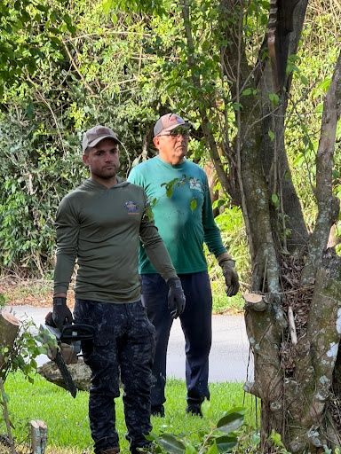 Tree Trimming