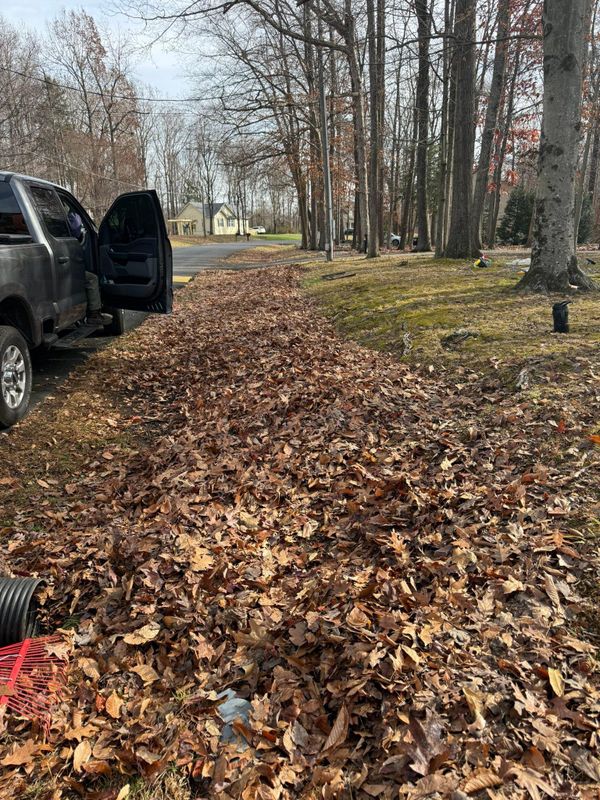 Leaf Removal