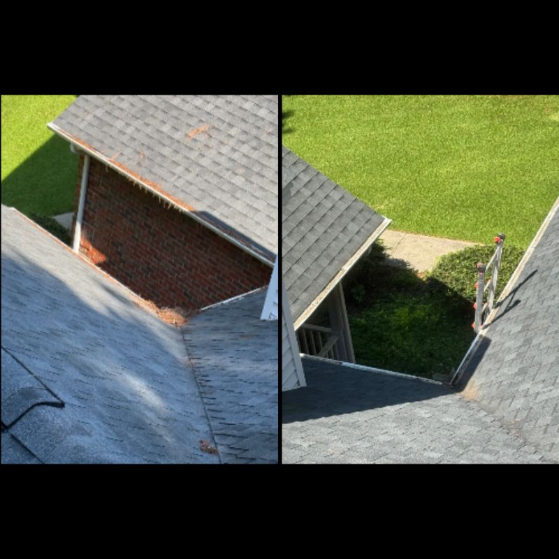 Transform Your Home with Precision Roof Cleaning