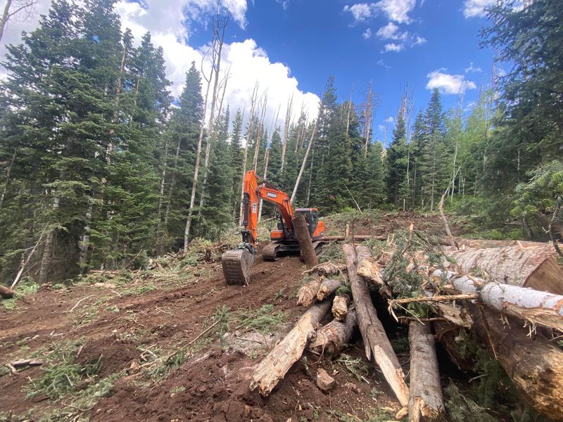 Skid Steer Work