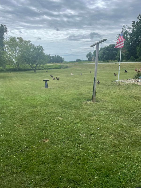 Lawn Care