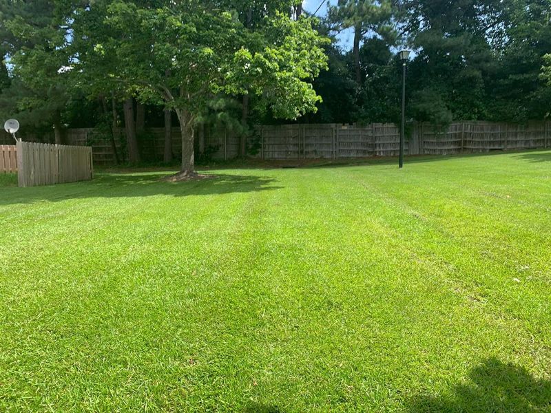 Lawn Maintenance