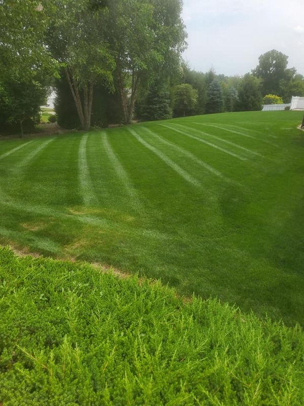 Lawn Mowing