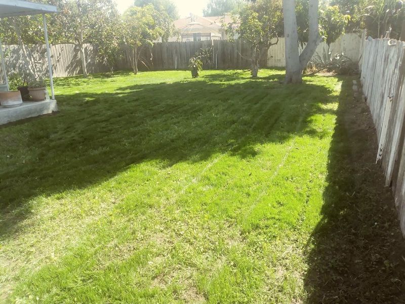 Mowing