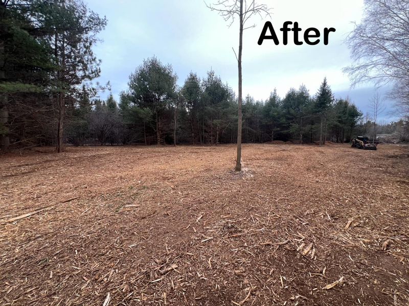 Land Clearing