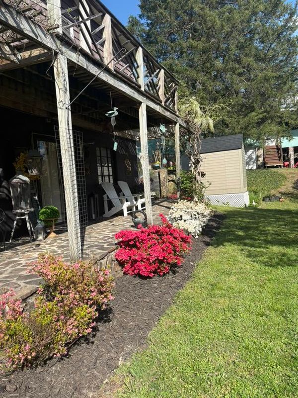Tree & Shrub Care