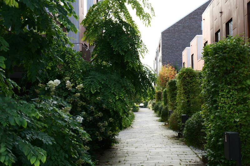Landscape Design