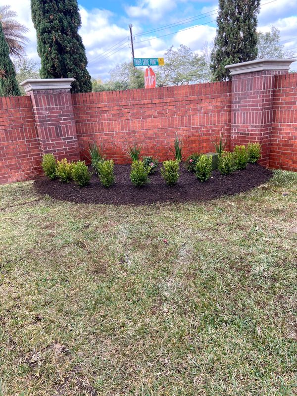 Flowerbeds