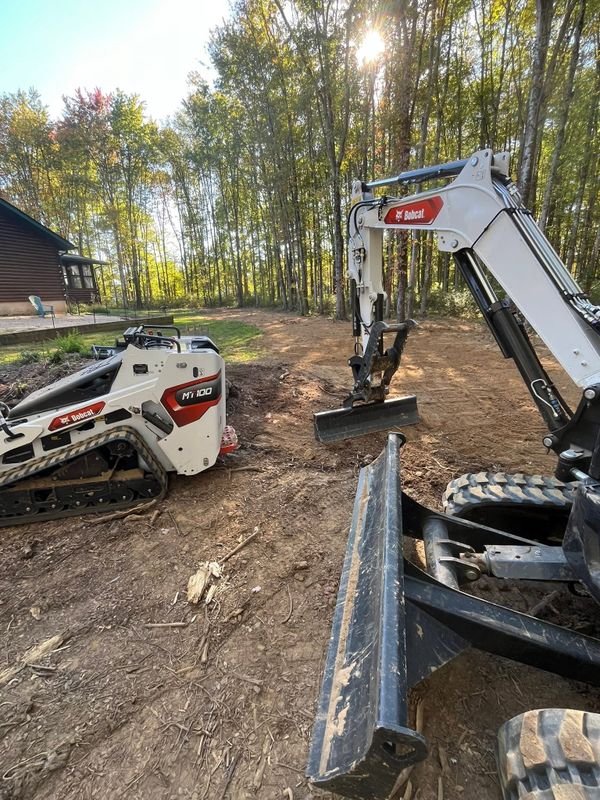 Stump Removal