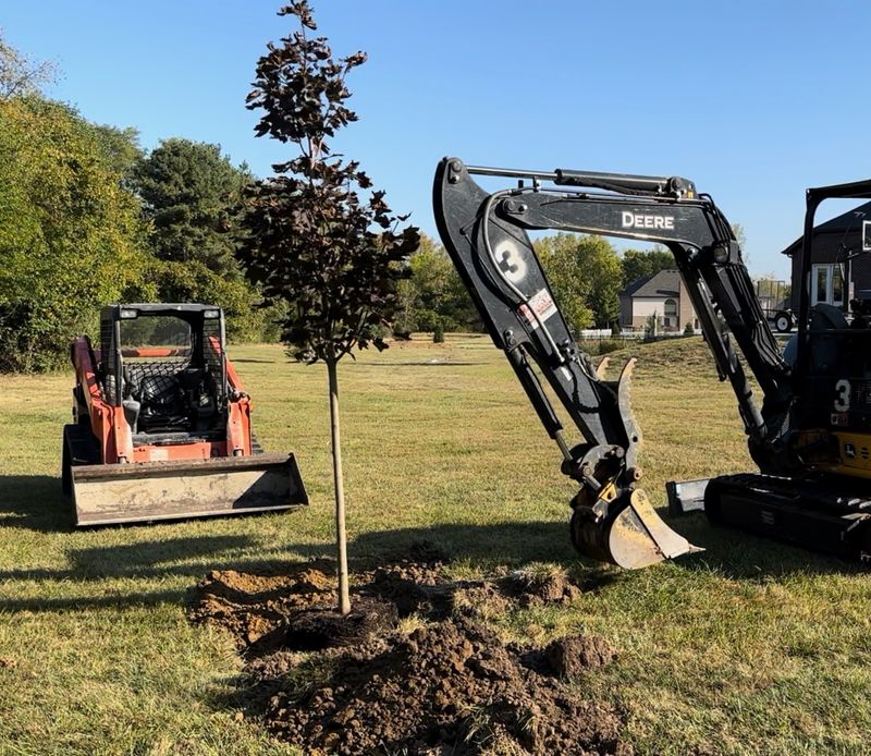 Our Landscaping