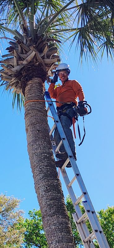 Tree Pruning