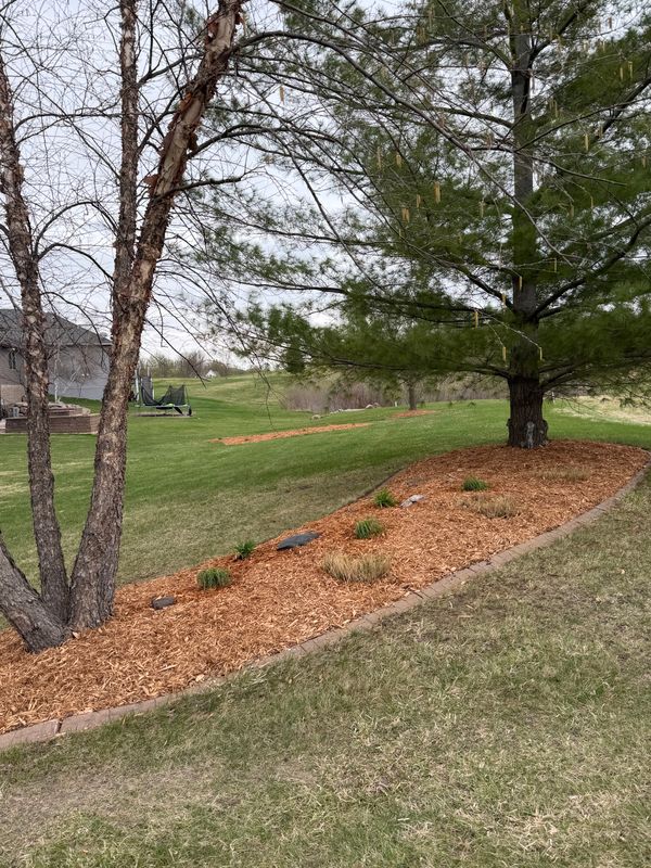 Mulch Installation