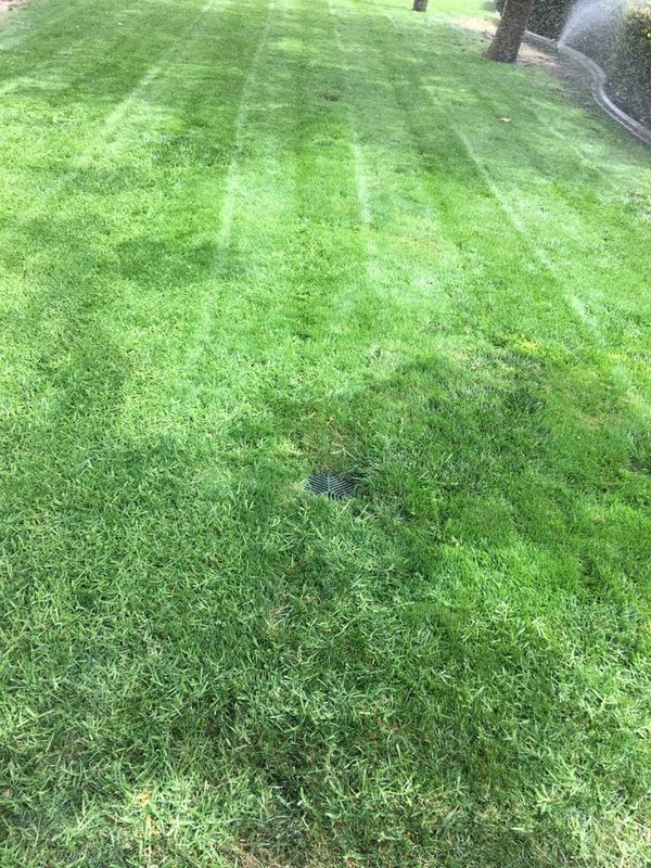 Mowing