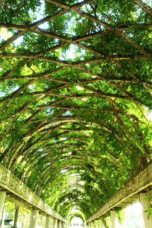 Landscape Design