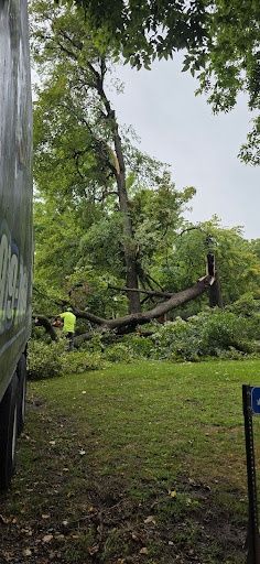 Storm Damage Clean-Up
