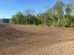 Land Clearing