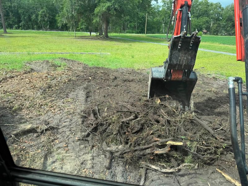 Land Clearing