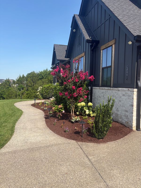 Lawn Maintenance