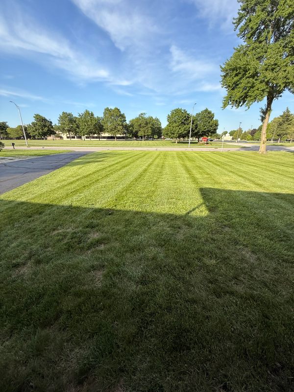 Lawn Care and Maintenance