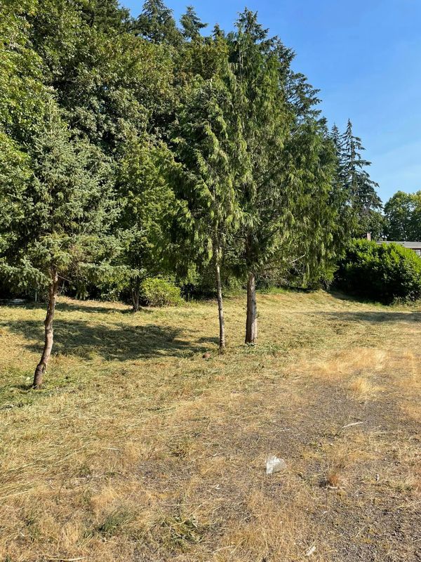 Land Clearing