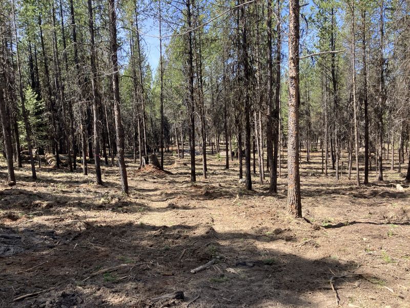 Land Clearing