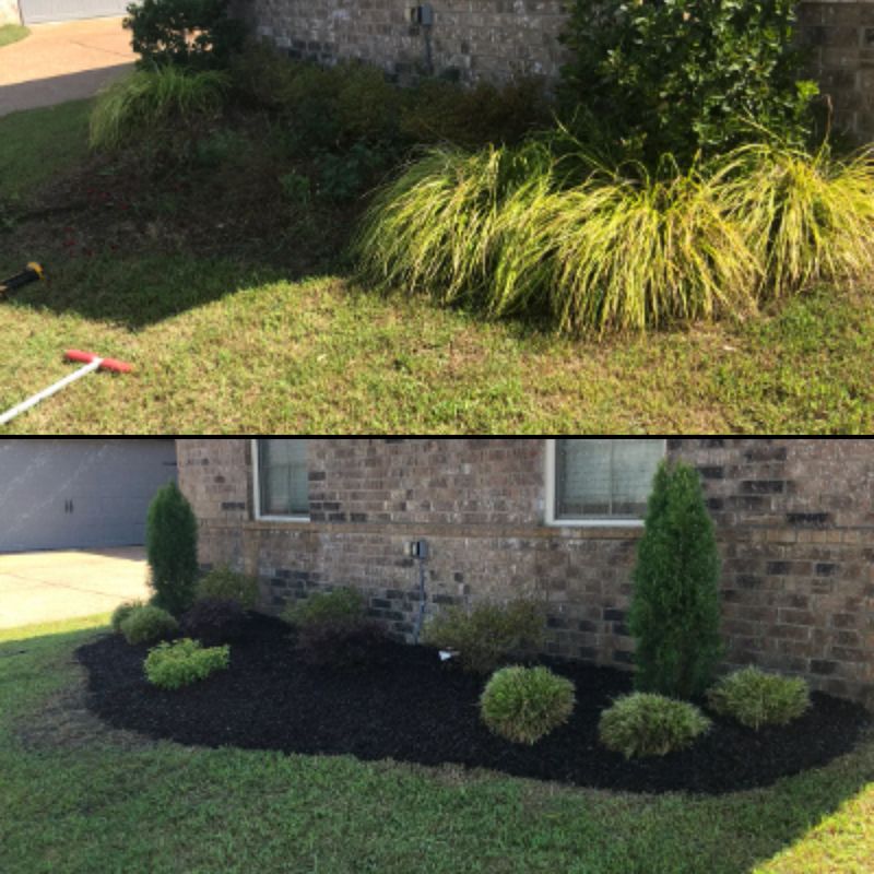 Lawn Maintenance
