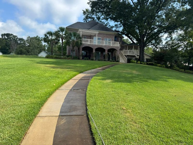 Driveway and Sidewalk Cleaning