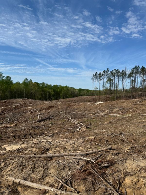 Land Clearing